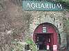 The Guernsey Aquarium